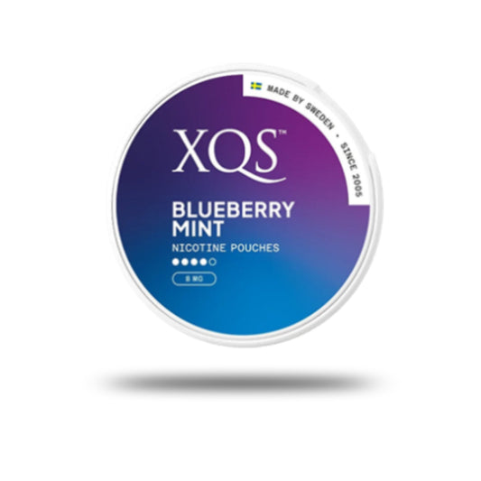 XQS Blueberry Mint Strong 10mg