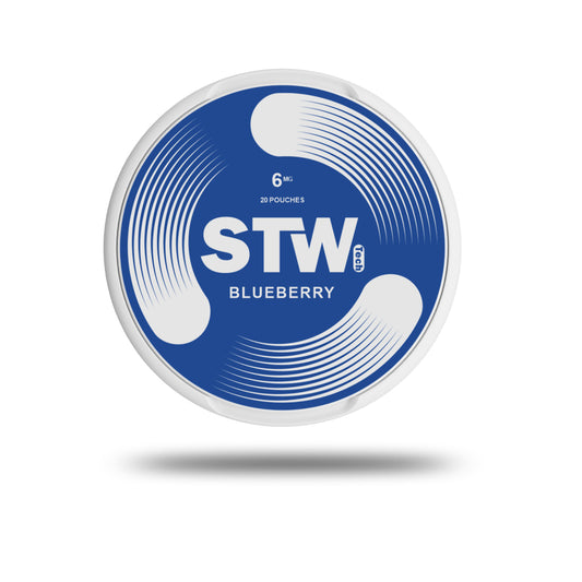STW Blueberry 6mg